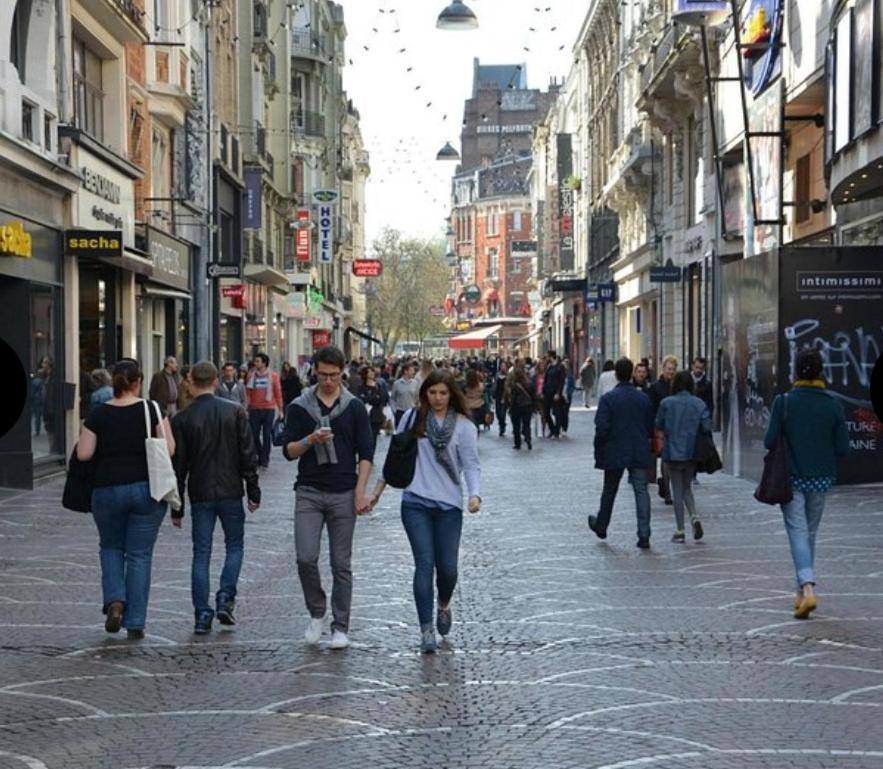 Le Petit Paradis De Lille Mons-en-Baroeul Εξωτερικό φωτογραφία